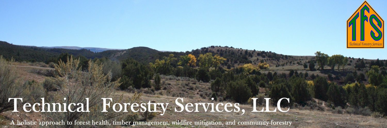 Technical Forestry Services, LLC